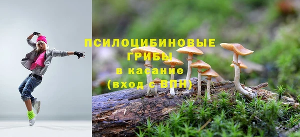 тгк Алексин