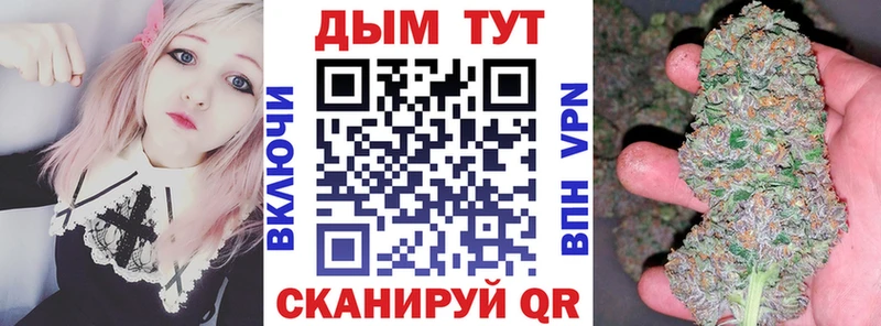 kraken ТОР  Канаш  Бошки Шишки тримм 
